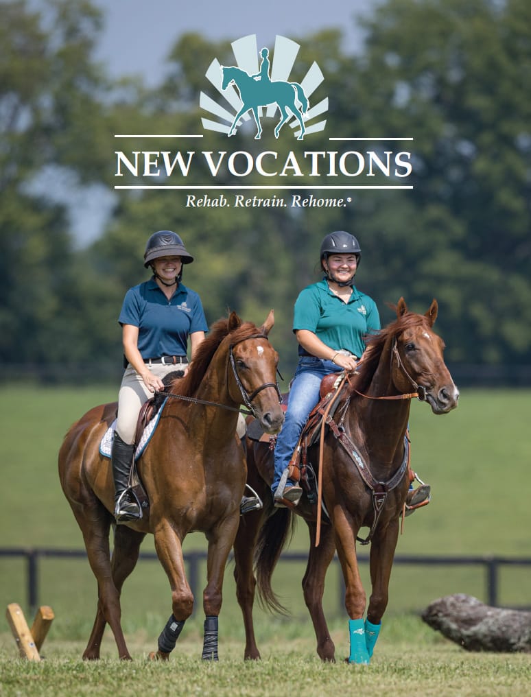 Annual report cover