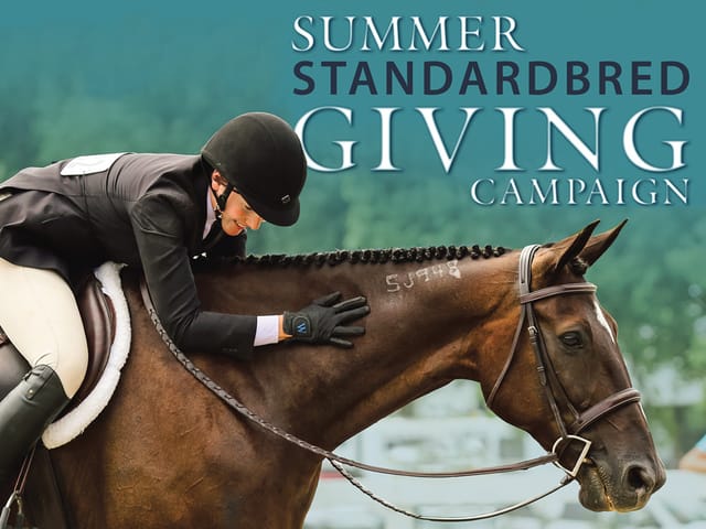 New Vocations Launches Summer Standardbred Giving Campaign