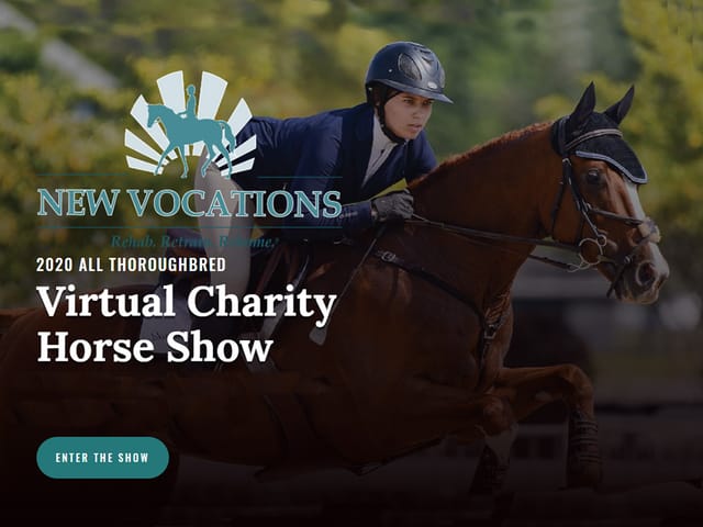 New Vocations Hosting All-Thoroughbred Virtual Horse Show