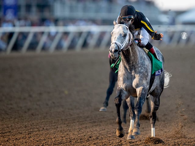 More Than $140,000 Raised Through New Vocations Breeders’ Cup Pledge