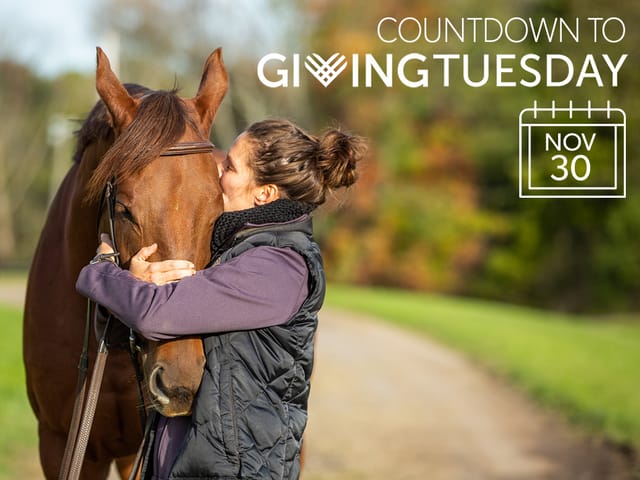 D.J. Stable, LLC to Match GivingTuesday Donations to New Vocations
