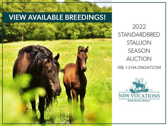 2022 Standardbred Stallion Season Auction Taking Place Feb. 1-3