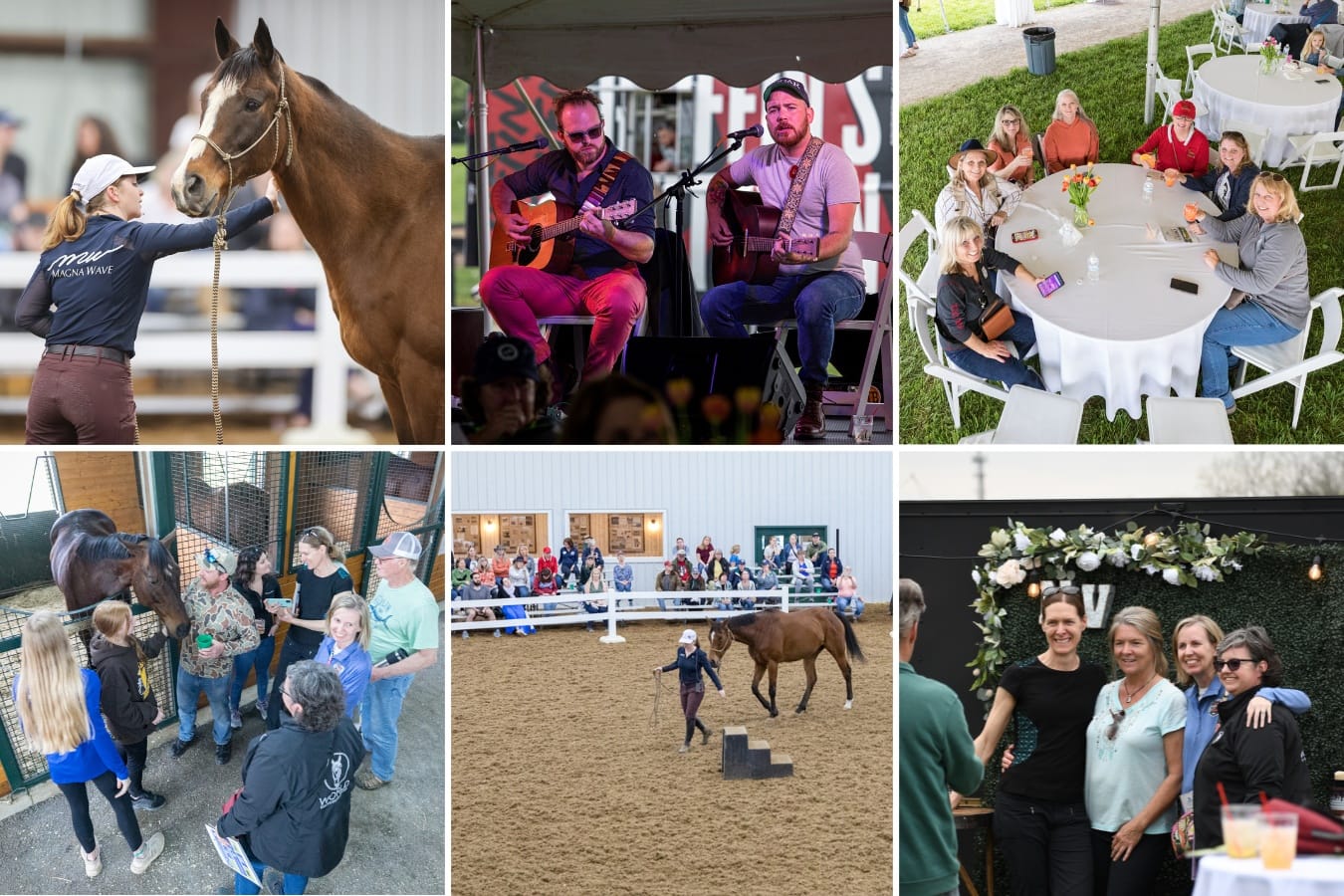 3 Live Demonstrations by Retired Thoroughbred Racehorse Experts