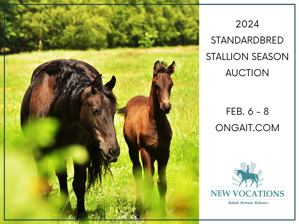 New Vocations Standardbred Stallion Season Auction