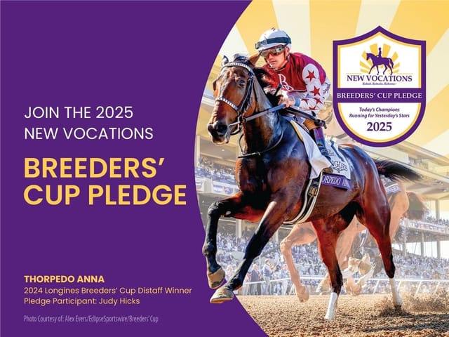 New Vocations Launches 16th Annual Breeders’ Cup Pledge with Special Brick Incentive