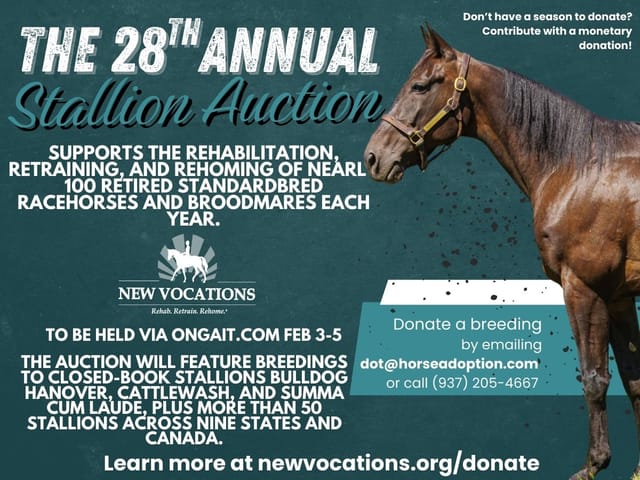 28th Annual Stallion Auction