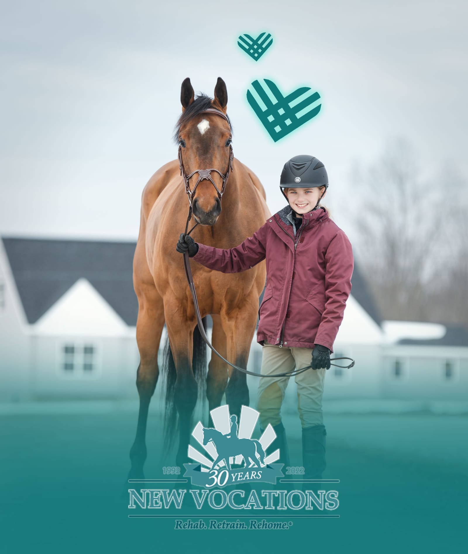 New Vocations Racehorse Adoption Program