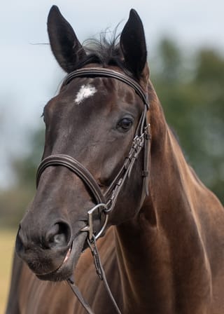 Fun Time