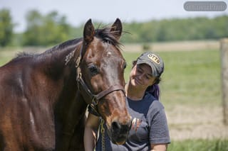 Mayfield Hanover