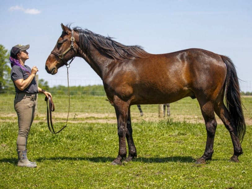 Mayfield Hanover