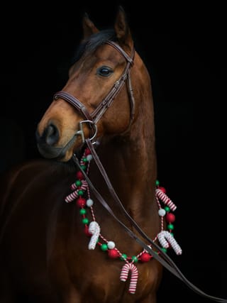 Mister Candy Ride