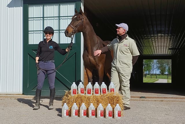 Hagyard Pharmacy Offers Buy-1, Donate-1 Program to Support Local Equine Aftercare Facilities in Need