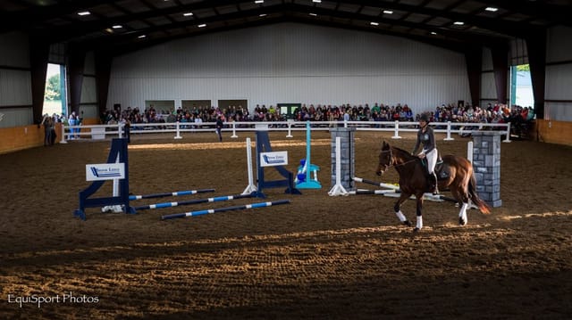 New Vocations Launches Online Auction to Enhance Open Barn and BBQ