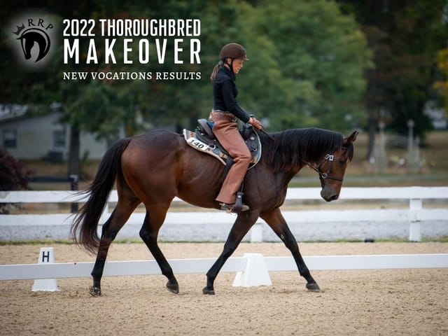 Four New Vocations Graduates Shine in the RRP Thoroughbred Makeover Finals!