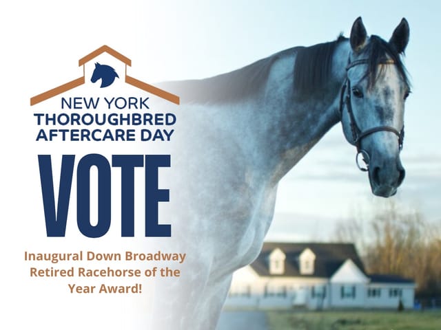 Vote for New Vocations Grad: Zuzudini for the Inaugural Down Broadway Retired Racehorse of the Year Award!