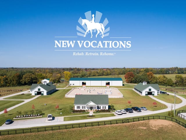 New Vocations Serves Over 600 Retired Racehorses in 2023