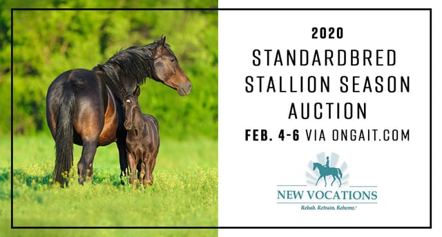 2020 New Vocations Standardbred Stallion Auction Set for Feb 4-6 via OnGait.com
