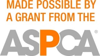New Vocations Receives ASPCA Grant to Rehab Retiring Racehorses