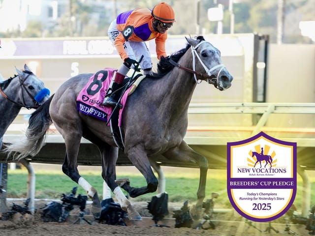 16th Annual New Vocations Breeders’ Cup Pledge Surpasses $100,000 for Thoroughbred Aftercare