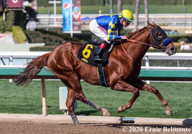 Connections of Charlatan to Donate 10 Percent of Arkansas Derby Earnings to New Vocations