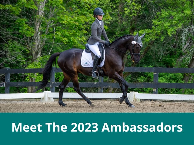 2023 Ambassador, Colleen Nolan-Tran and Determine This, Tidewater Tomcat and Evaluator