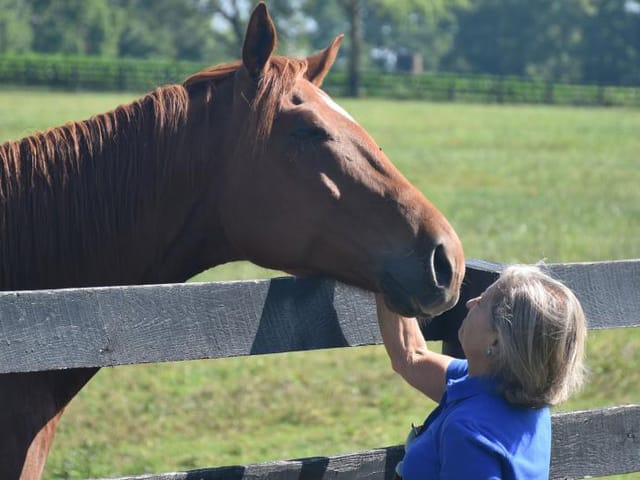 Thoroughbred Aftercare Alliance Success Story: Courage’s Story Stretches Far Beyond the Racetrack
