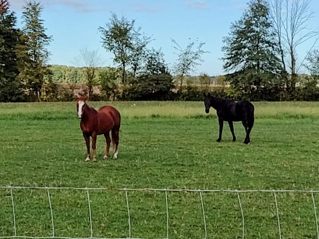 New Vocations Grad, 32 Year-Old Crisp Sahbra is Loving His Retirement
