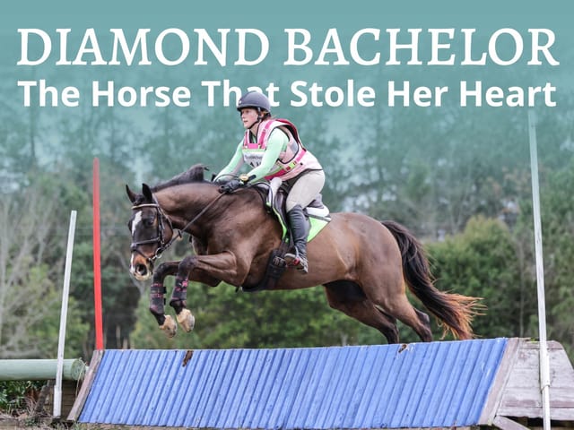 Thoroughbred Aftercare Alliance Success Story: The Horse That Stole Her Heart