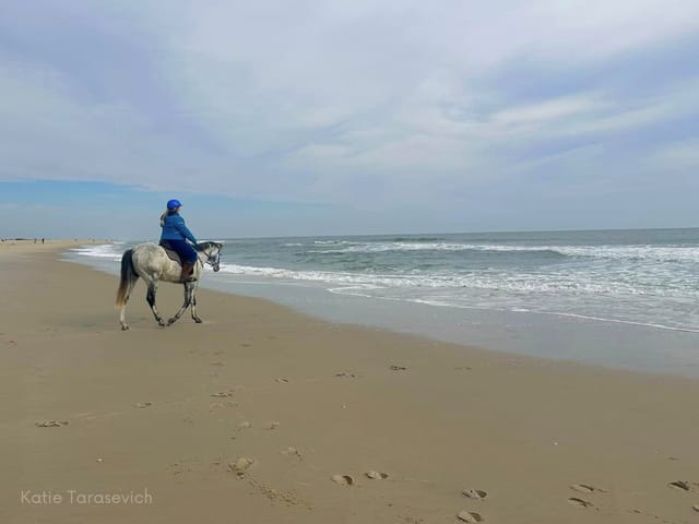 Thoroughbred Makeover Diary: Training for Endurance Riding and a Trip to Assateague