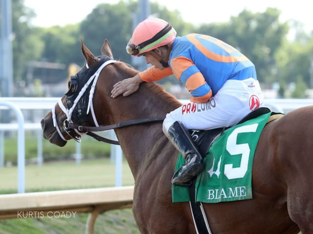 'We Owe Him A Good Retirement': Kentucky Derby Runner Dynamic One Retired To New Vocations
