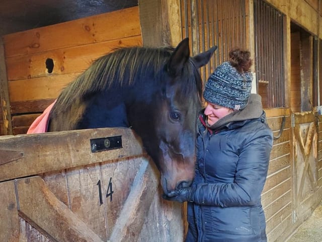 TAKE THE LEAD Marks A Milestone: 1,000 Horses to Safe Retirement