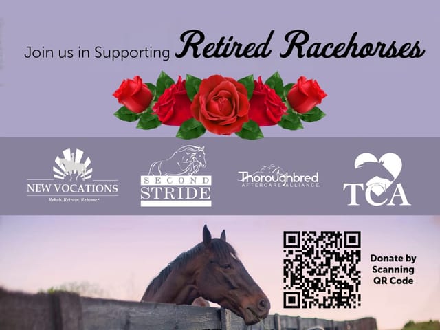 Ken Freirich, Co-Owner of Sandman and Philanthropist, Donates $100,000 to Thoroughbred Racehorse Retirement Charities
