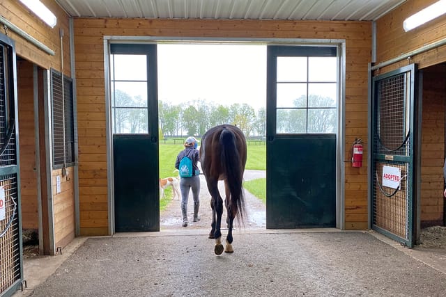 New Vocations Finds Homes for 60 Retired Racehorses in April