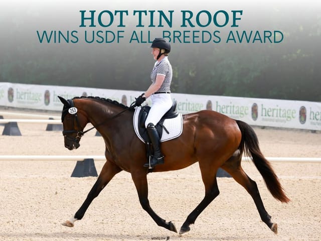 New Vocations Graduate Wins USDF 2024 All-Breeds Award