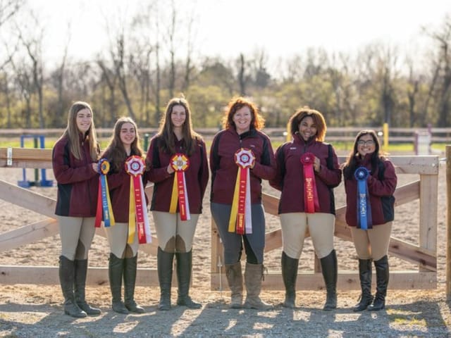 IEA Team Gives Standardbred Racehorses New Careers