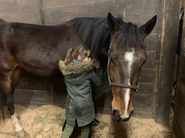 $215,000 Yearling “King Hill” Finds A New Vocation