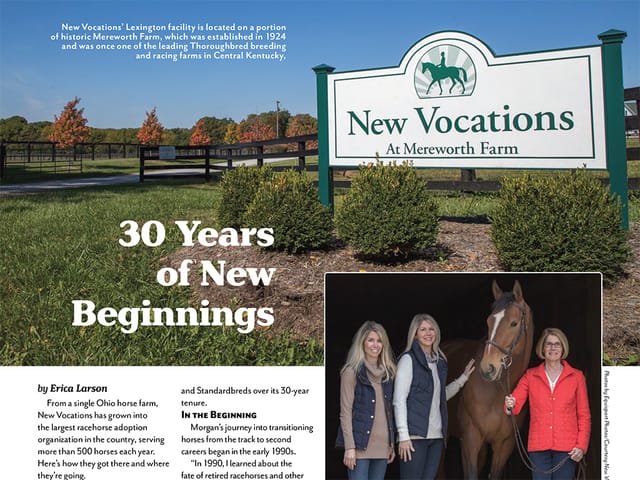 30 Years of New Beginnings