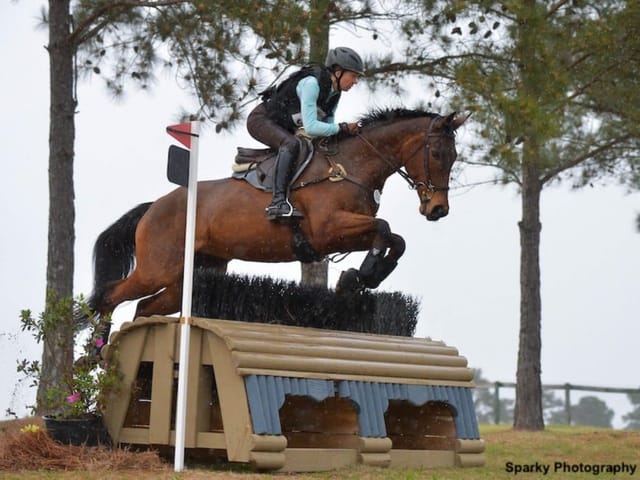 A Circuitous Journey Led OTTB Megnog To The Perfect Home, Eventing Success