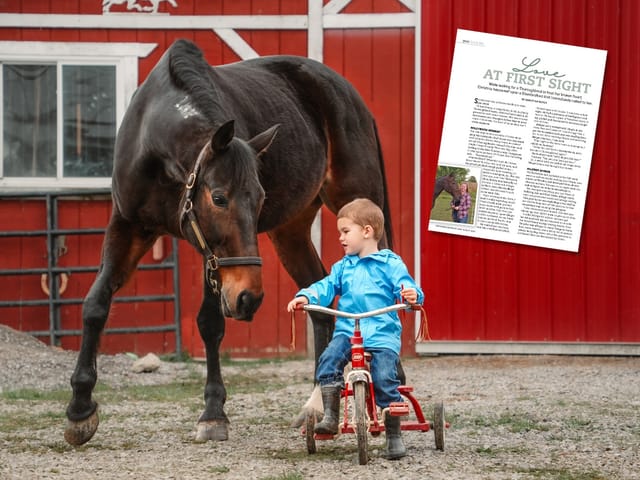 New Vocations Graduate: Utopia Featured in Horse Illustrated