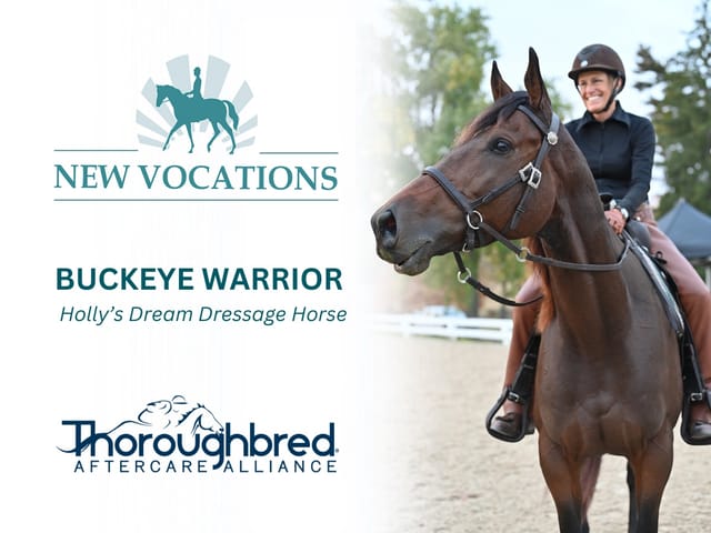 Holly's Dream Dressage Horse