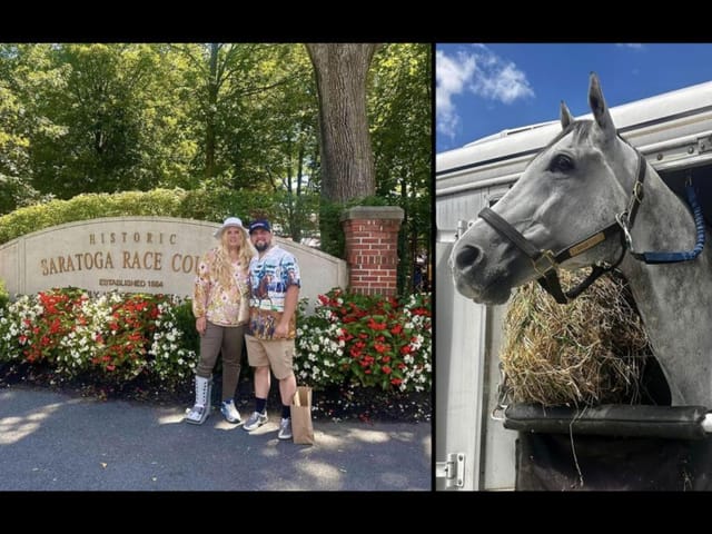 Thoroughbred Makeover Diary: When an OTTB Comes Into Your Life