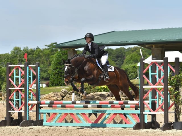 New Vocations All-Thoroughbred Charity Show Raises Over $180,000