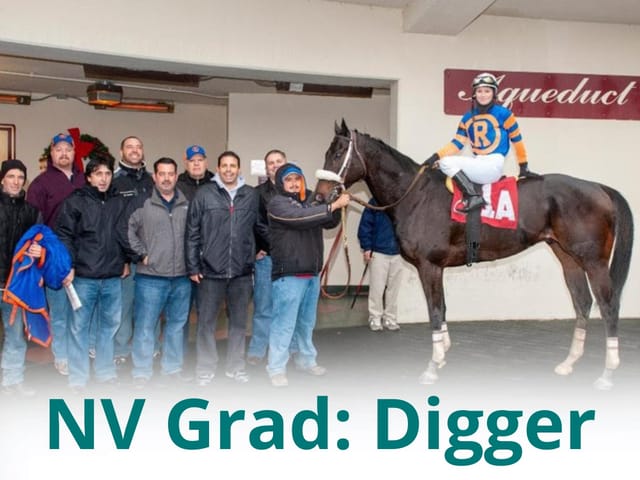 ‘He has his forever home’ – beloved stakes veteran Digger enjoys retired life in Tennessee