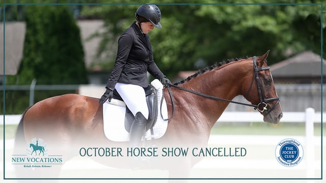 2020 New Vocations All-Thoroughbred Charity Horse Show and Thoroughbred Incentive Program October Championships Cancelled