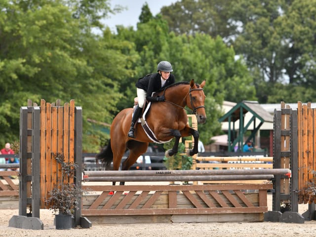 New Vocations to Host 22nd Annual All-Thoroughbred Charity Horse Show in Aiken, SC