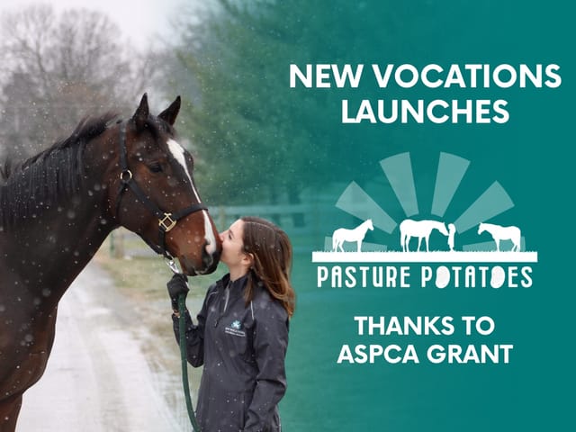 New Vocations Launches “Pasture Potatoes” Benefiting Companion Thoroughbreds