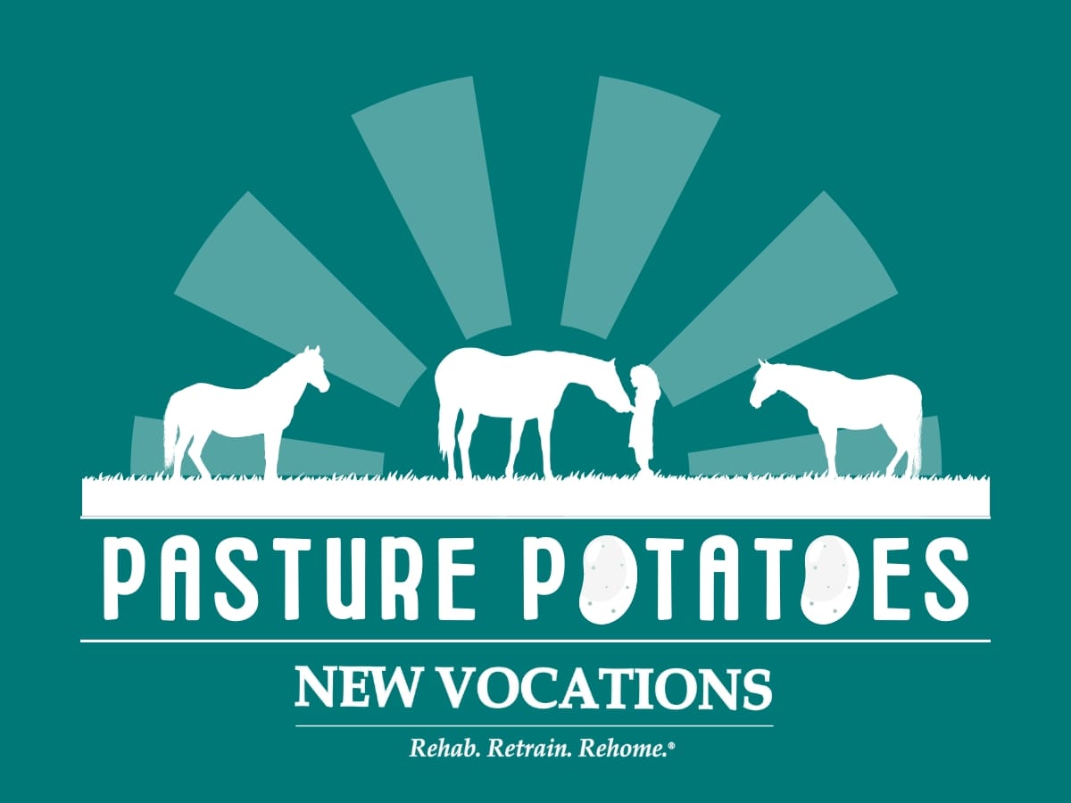 New Vocations Racehorse Adoption Program