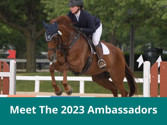 2023 Ambassador, Sarah Turri and Playful Cat