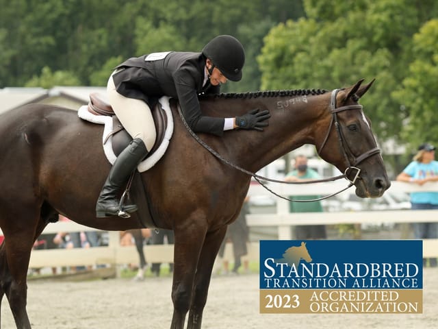 STA Awards $100,000 in Fall Grants to Accredited Aftercare Organizations Including New Vocations