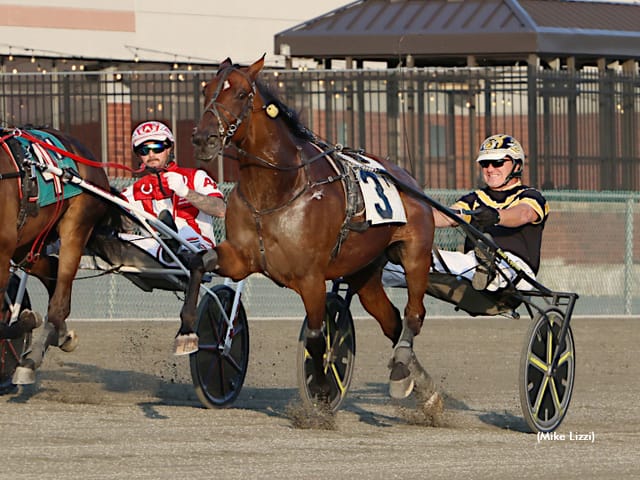 NAADA Donates to American Cancer Society and New Vocations